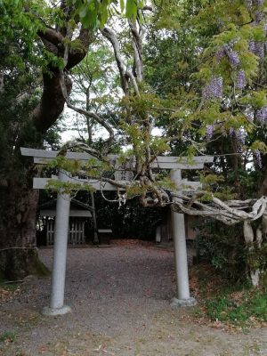 田中神社鳥居 オカフジ