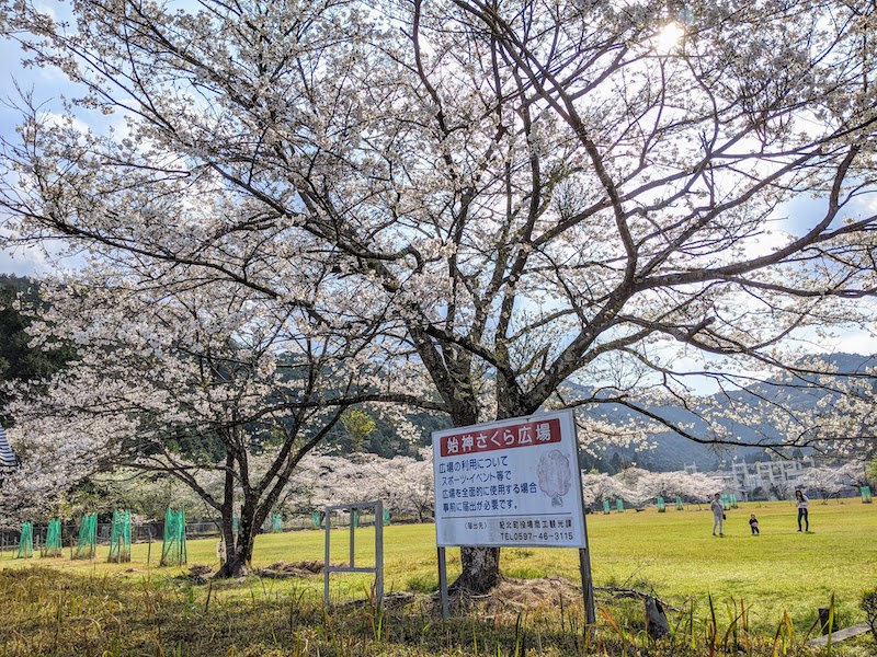 始神さくら広場