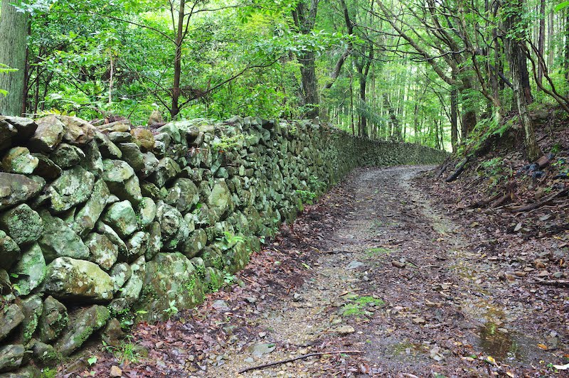 熊野古道 荷坂峠の猪垣