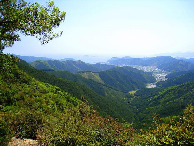 ツヅラト峠の眺望