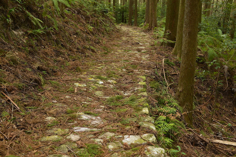 伊勢路 風伝峠