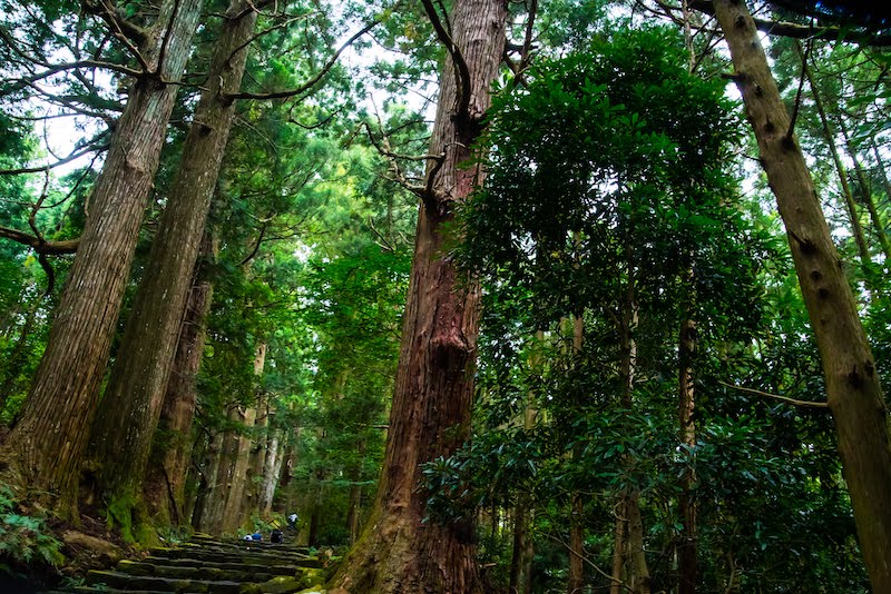 中辺路 大門坂