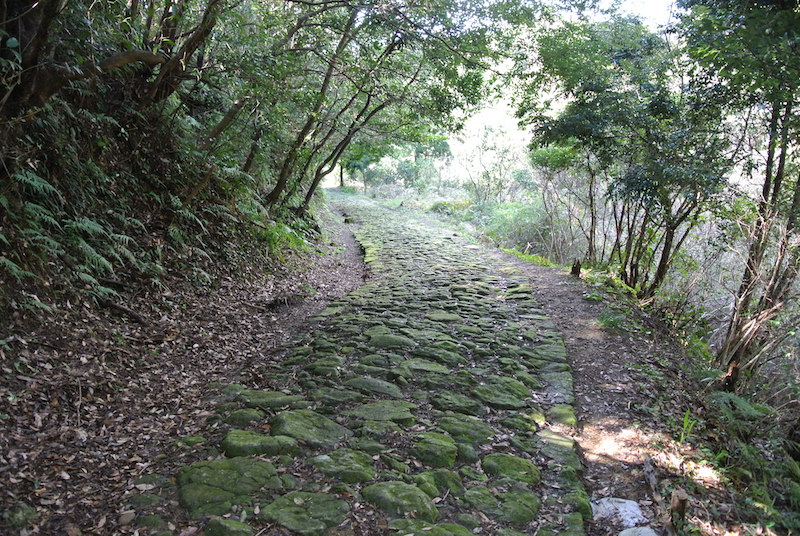 大辺路 高野坂