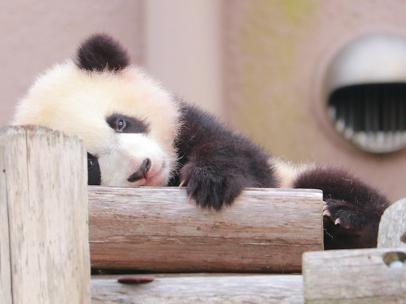 動物園・水族館