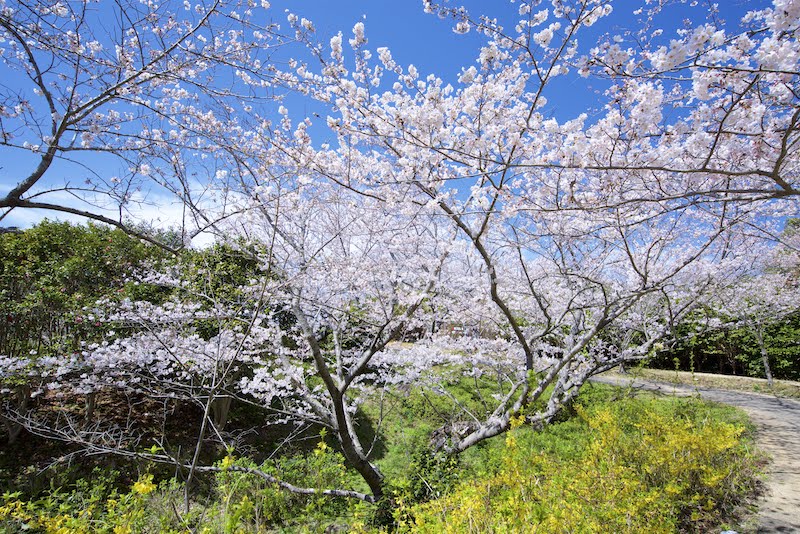 平草原公園