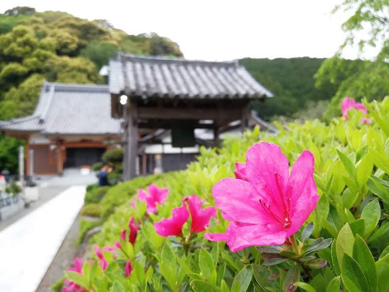 観音寺（さつき寺）