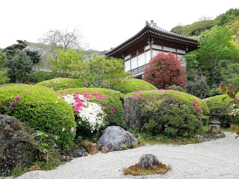 興禅寺（だるま寺）の庭園「天真園」