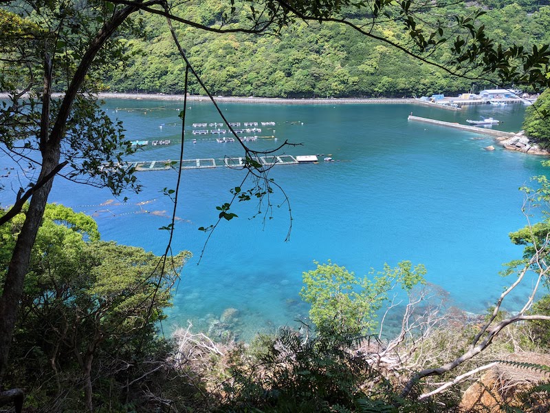 楯ヶ崎の遊歩道からの海