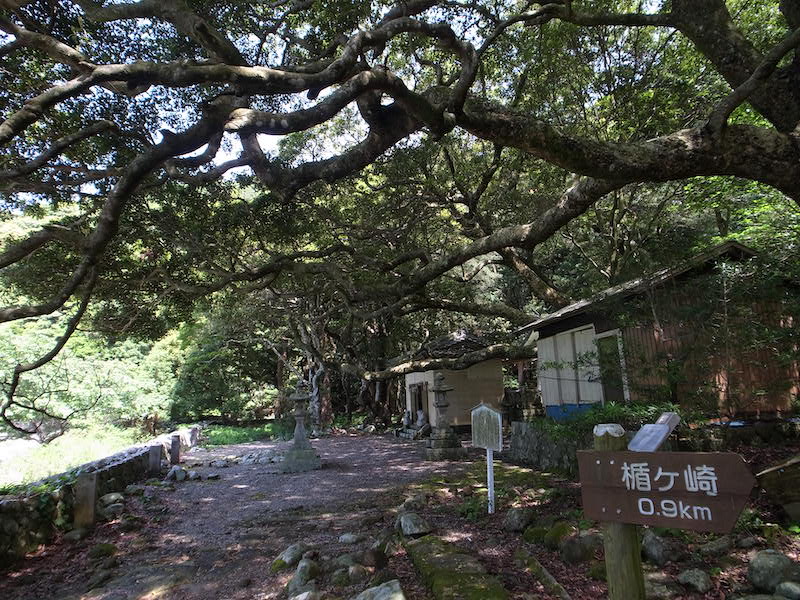 阿古師神社　楯ヶ崎0.9kmの案内板