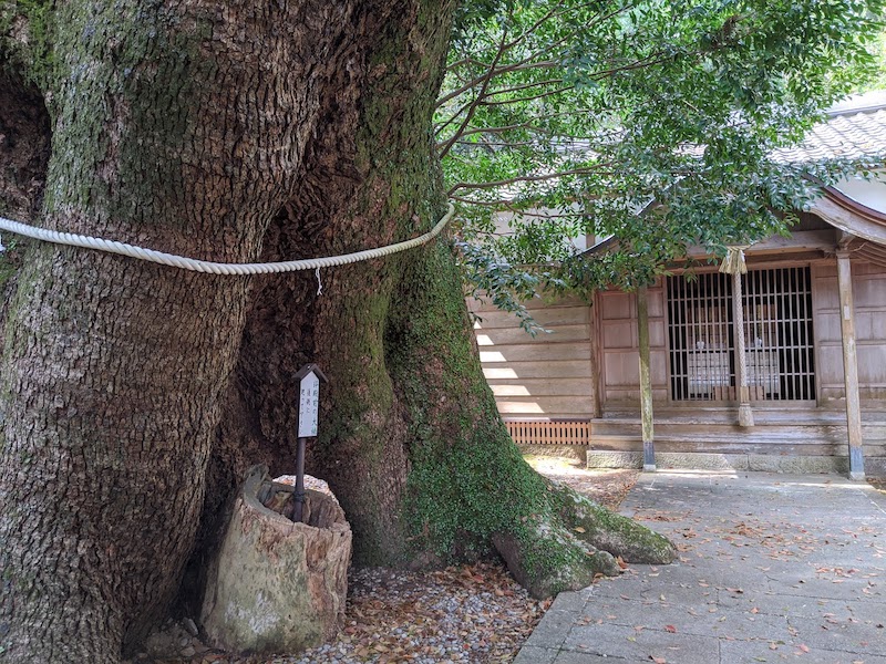 飛鳥神社（尾鷲市曽根町）