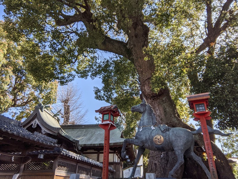 蟻通神社 霊楠