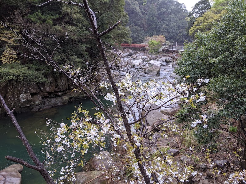 奇絶峡 上流側から見た滝見橋