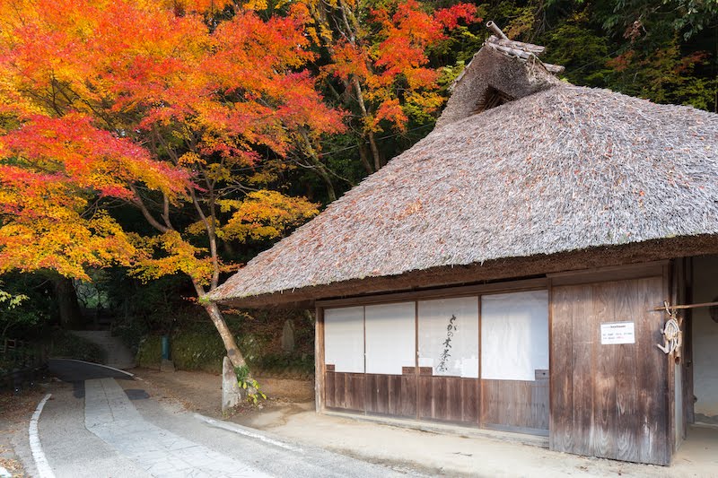 とがの木茶屋