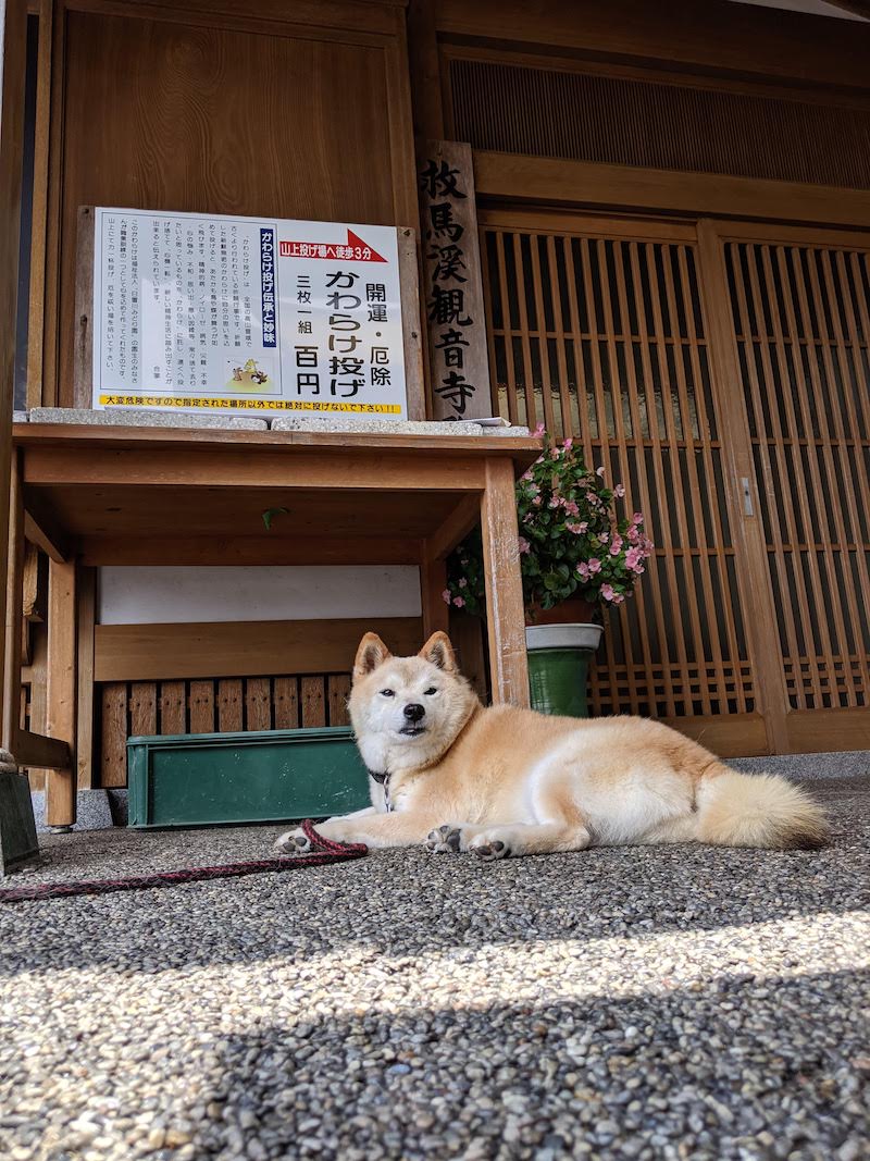 あじさい曼陀羅園 武蔵