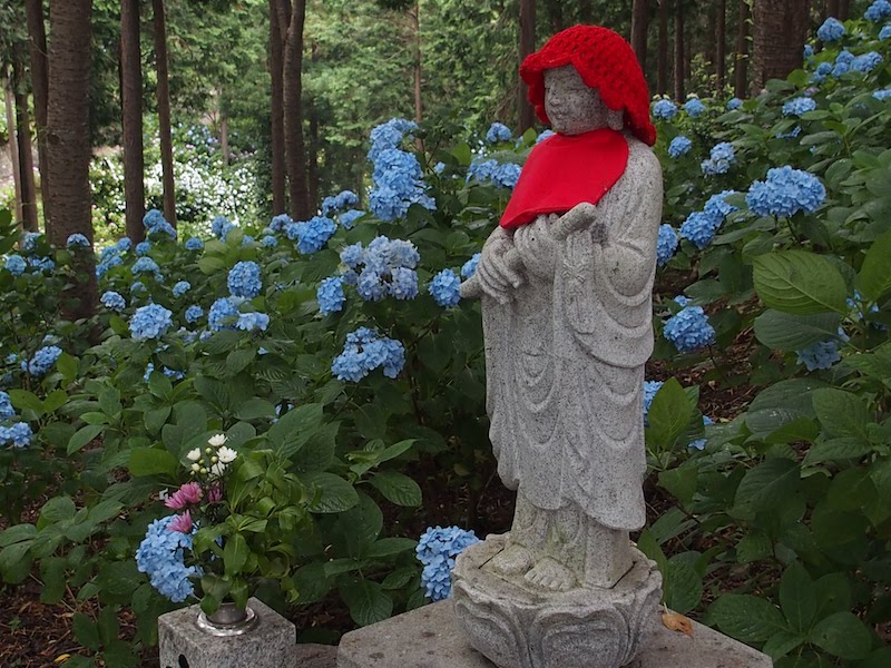 あじさい曼荼羅園