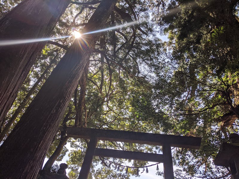 飛鳥神社（熊野市飛鳥町小阪）