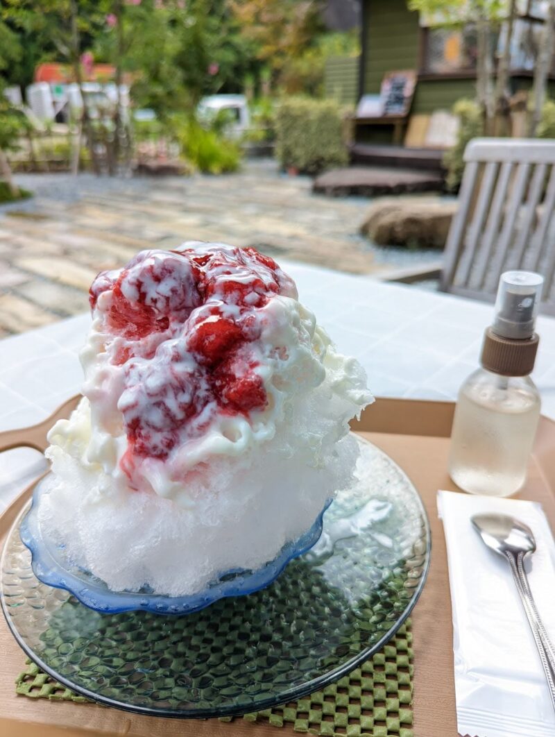 庭カフェ翔花：かき氷（手作りヨーグルトミルク+ベリーソース）