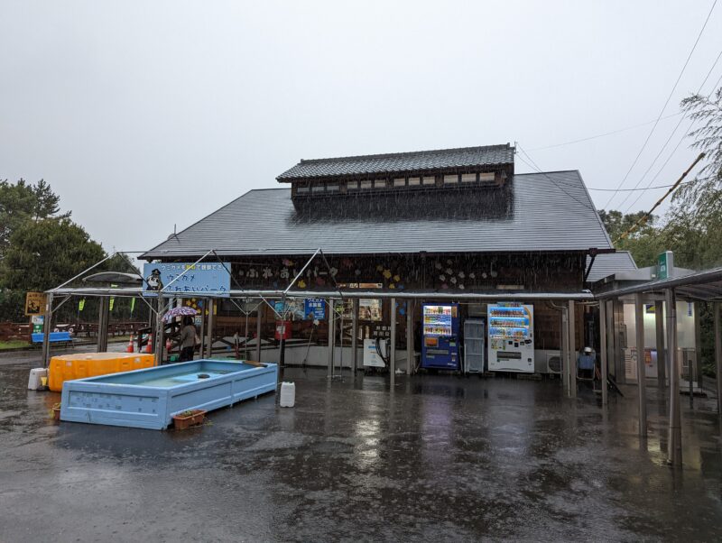 道の駅紀宝町ウミガメ公園 ウミガメ資料館