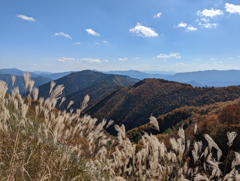 林道川津今西線の展望ベンチ付近からの展望