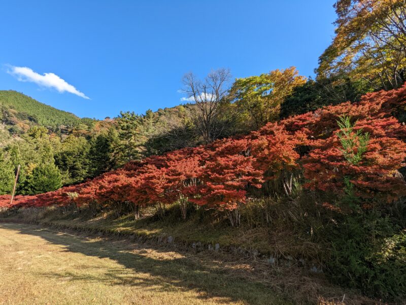 21世紀の森植物公園